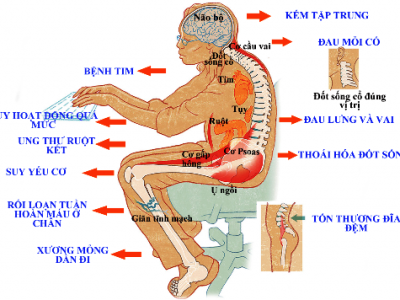 Tác dụng khủng khiếp của việc ngồi lâu một chổ mà bạn không hề biết.